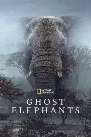 Ghost Elephants