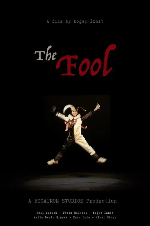 Poster for The Fool