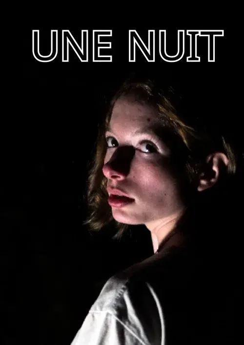 Poster for Une nuit