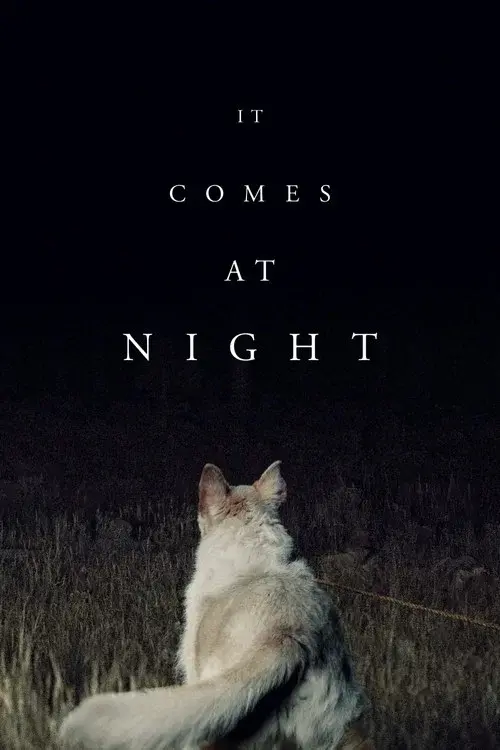 Poster for It Comes at Night