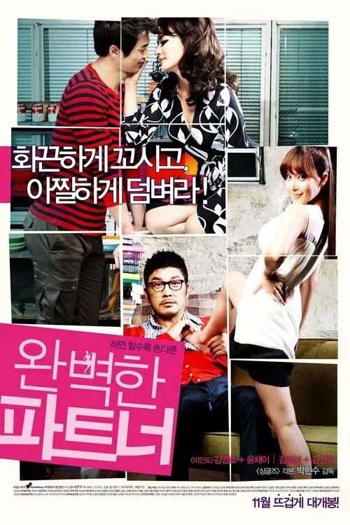 Poster for My Secret Partner
