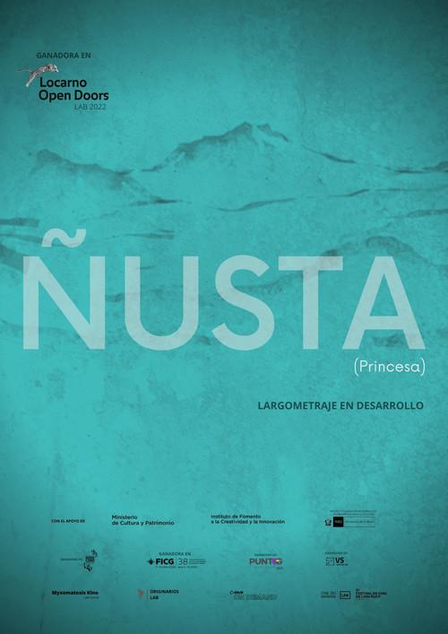 Poster for Princess