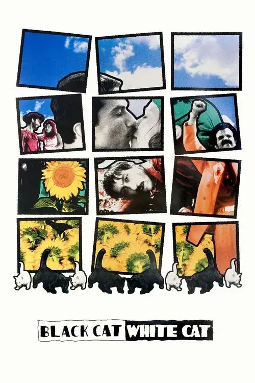 Poster for Black Cat, White Cat